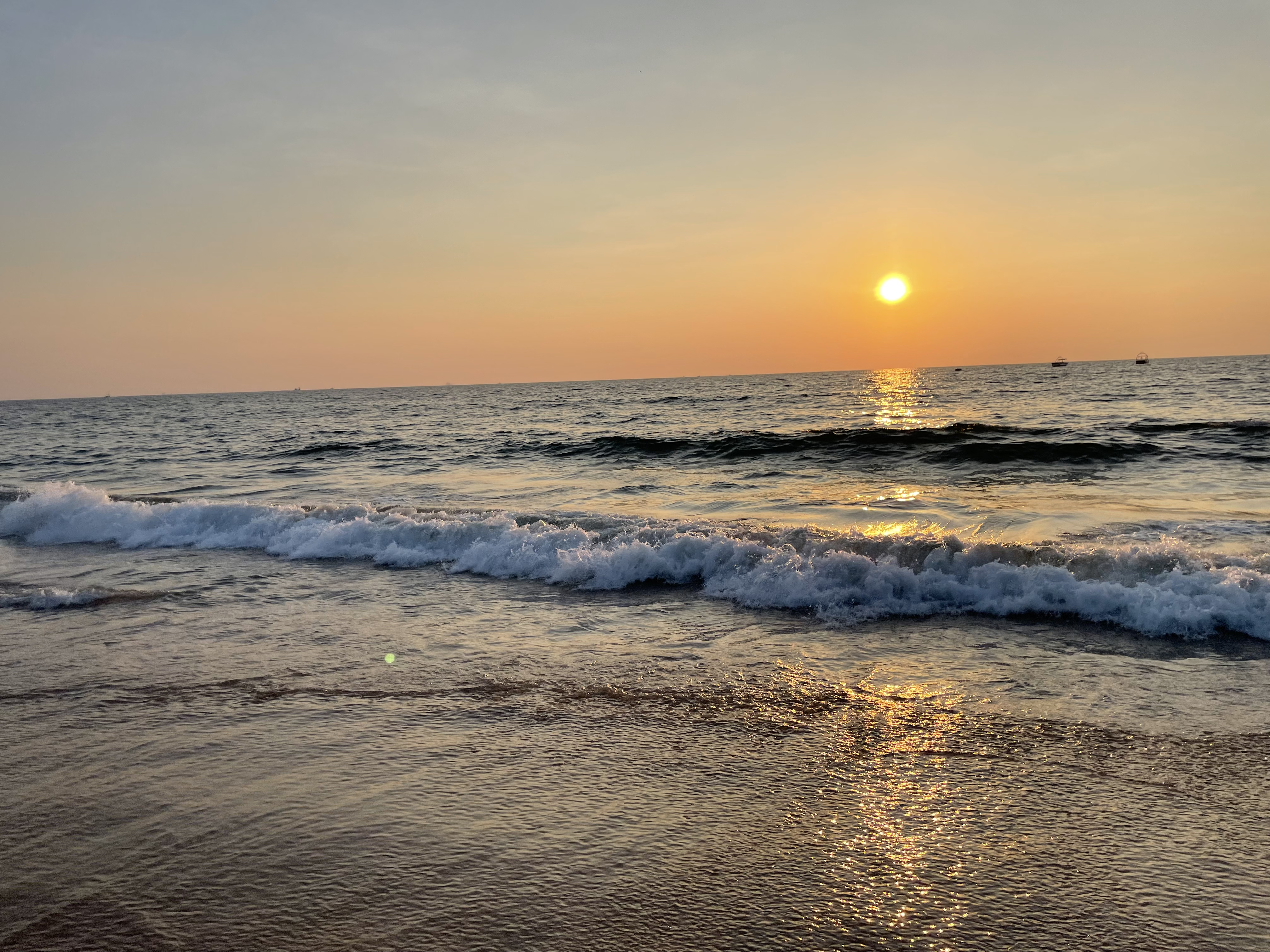 Cover image for Goa Diaries: North vs. South Edition